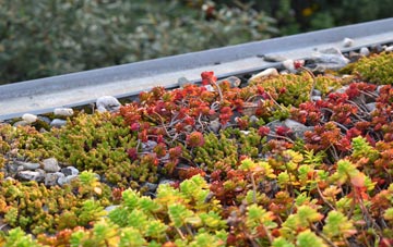 the cost of Finchley green roof installation