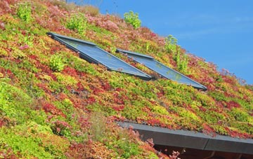 Finchley living roof systems